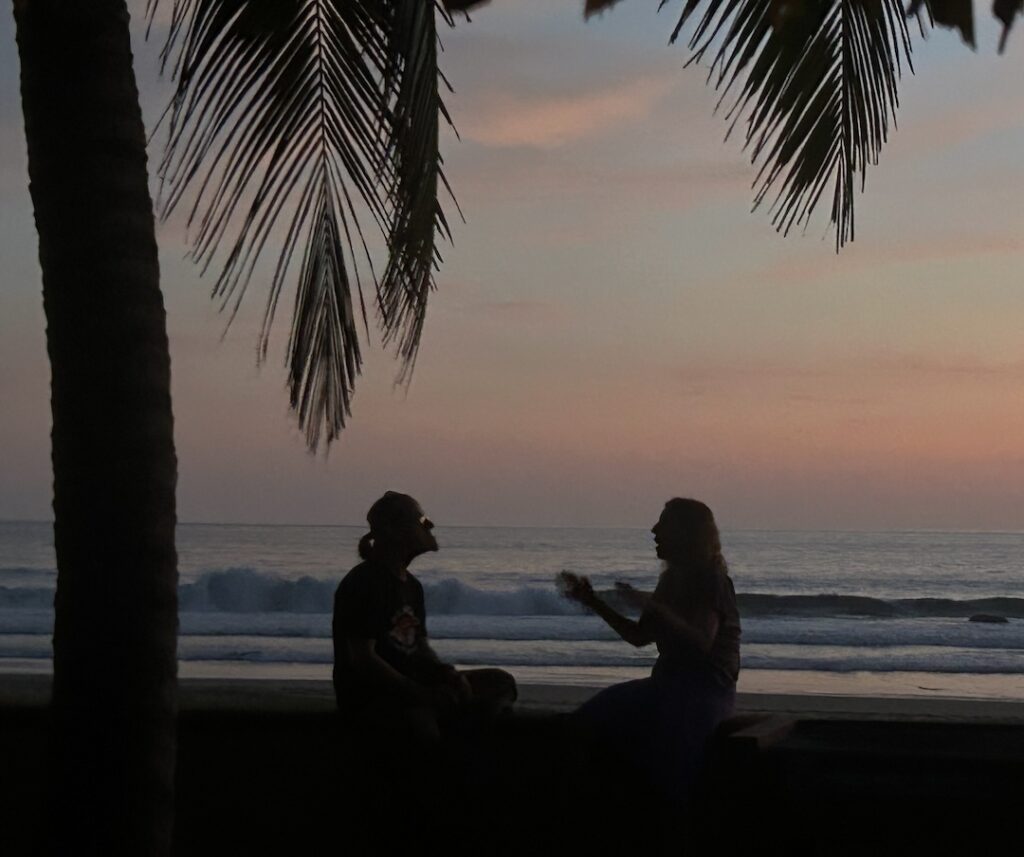 This image has an empty alt attribute; its file name is 22-silhouettes-palms-sunset-copy-1024x857.jpg