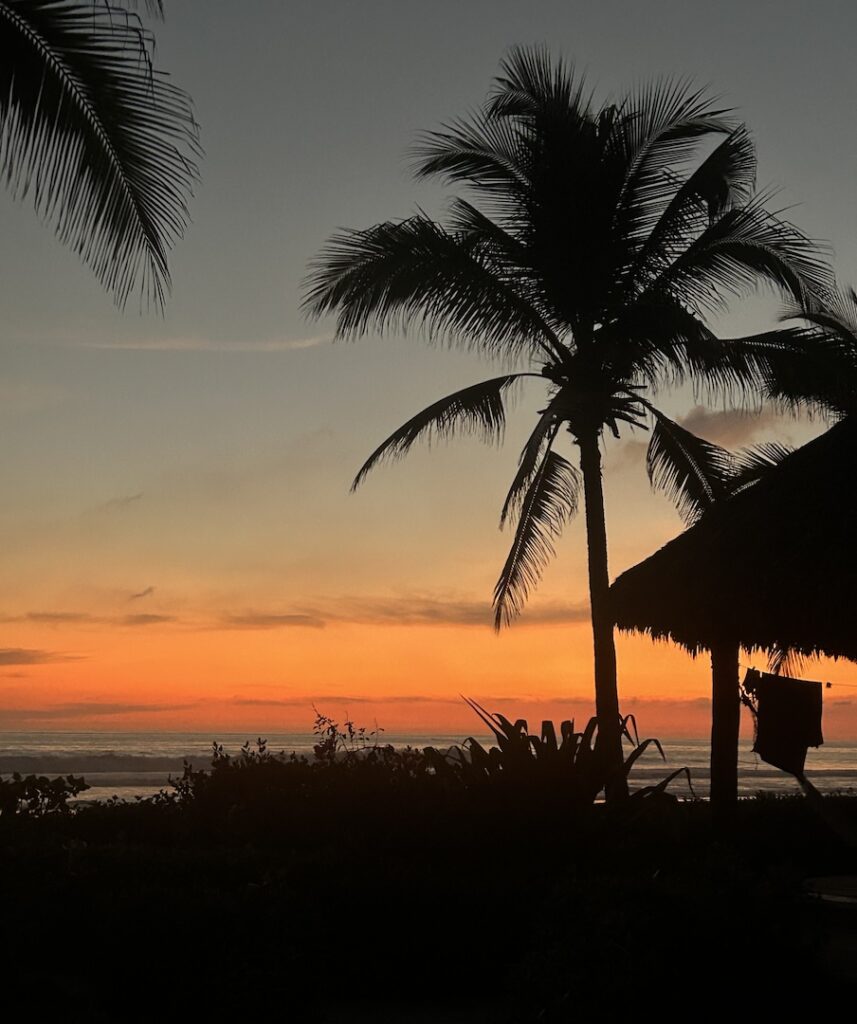 This image has an empty alt attribute; its file name is 21-sunset-palms-thatch-copy-857x1024.jpg